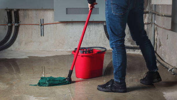Best Flood restoration services  in Homerville, GA