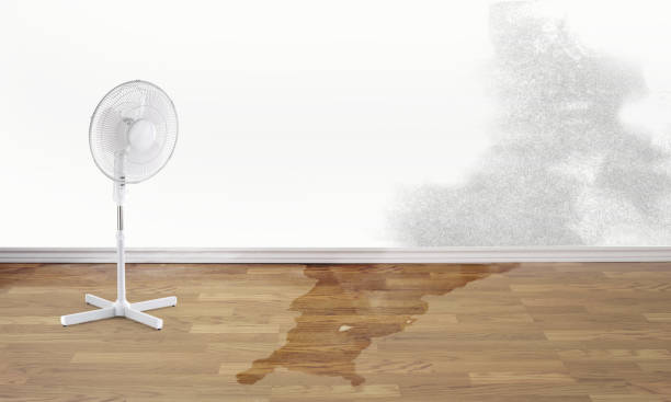 Best Residential water damage restoration  in Homerville, GA