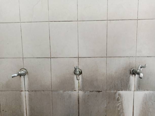 Best Water damage cleanup near me  in Homerville, GA