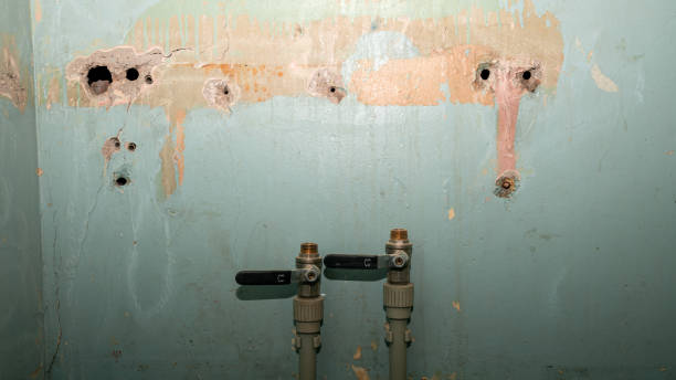 Best 24-hour water damage restoration  in Homerville, GA