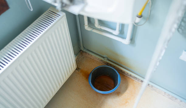 Best Local water damage restoration  in Homerville, GA