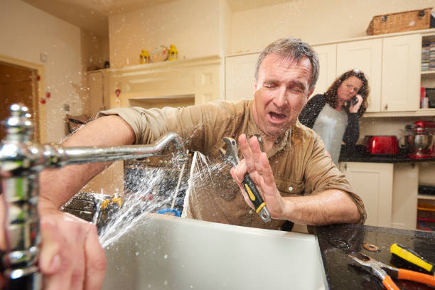 Best Professional water damage repair  in Homerville, GA